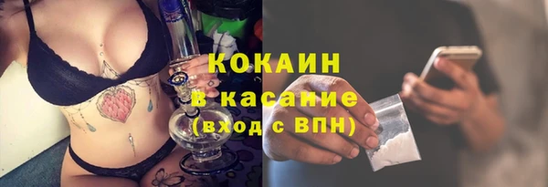 дживик Гусь-Хрустальный