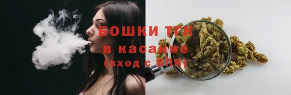 дживик Гусь-Хрустальный