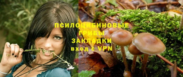 синтетический гашиш Гусев